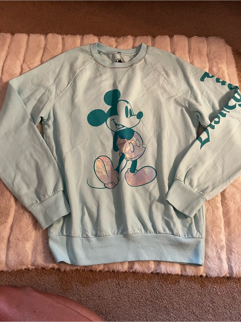 Disney Mickey Mouse Mint Green Crewneck Sweatshirt